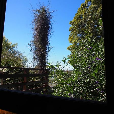 Beauty Point Cosy, Comfortable Cottage - Views & Location Plus מראה חיצוני תמונה
