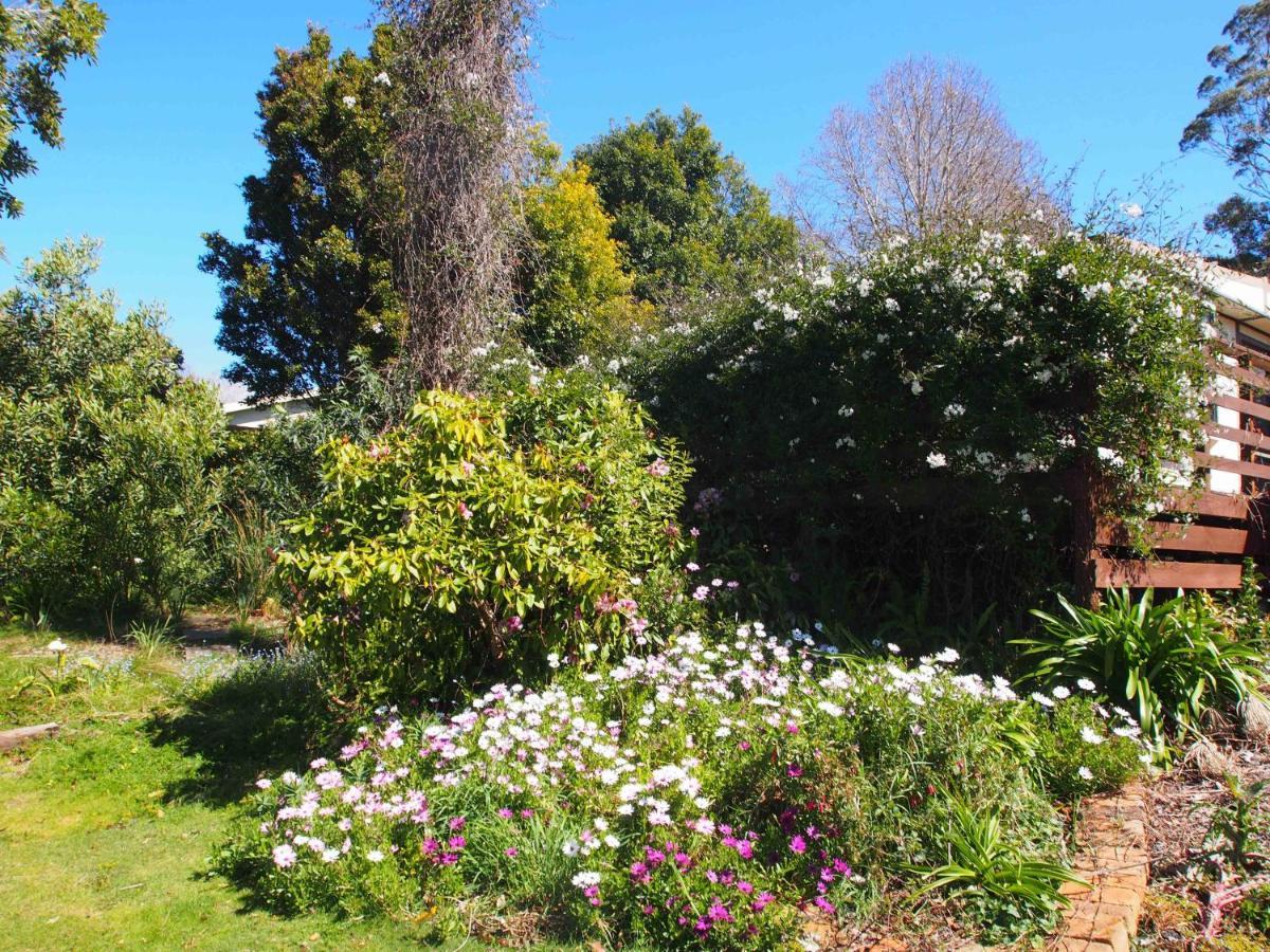 Beauty Point Cosy, Comfortable Cottage - Views & Location Plus מראה חיצוני תמונה